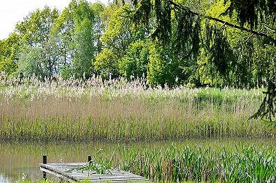 Teich im Grundstück