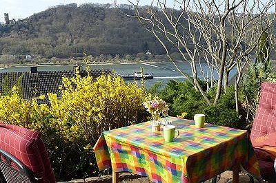 Vacation apartment Kunz am Rebenhang mit Rheinblick, Rheingau